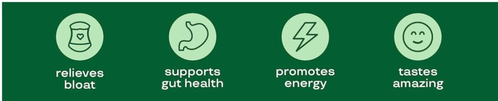 Best supplement for Digestive Enzymes with Probiotics and Prebiotics