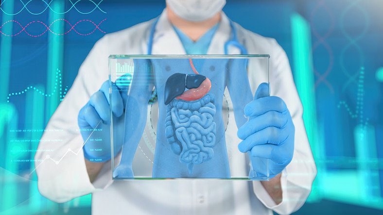 Gut Health and Digestion: Top Supplements and Natural Treatments for a Stronger Gut